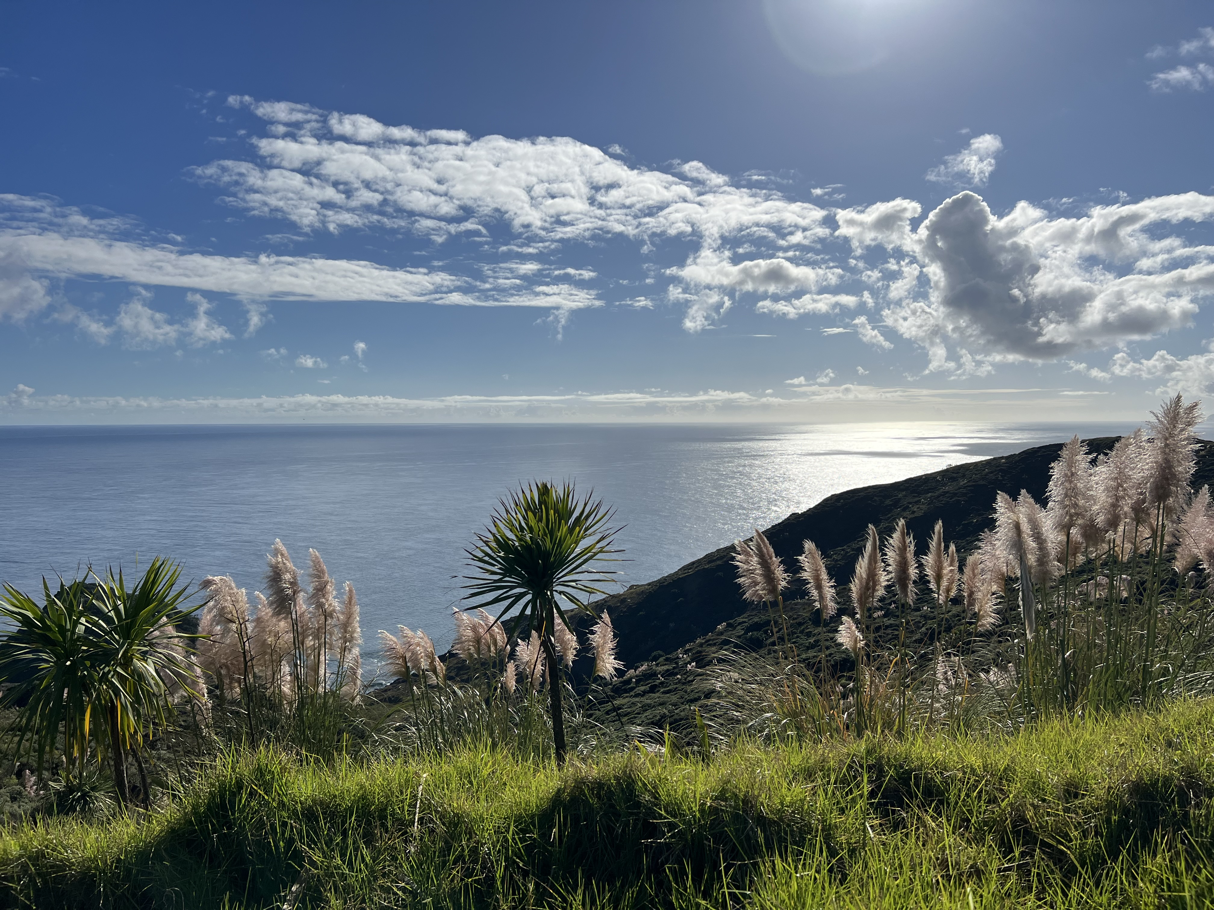 cape reinga